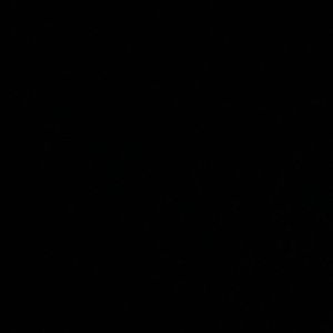 Meet your Posher, Syeda